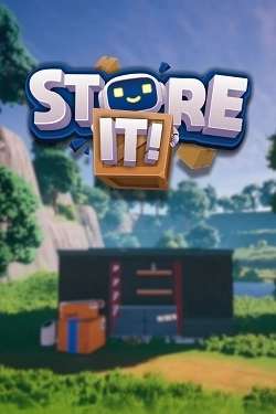 Store It Store It