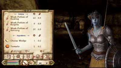 третий скриншот из UI Compilation (The Elder Scrolls IV: Oblivion)