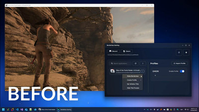 первый скриншот из Borderless Gaming