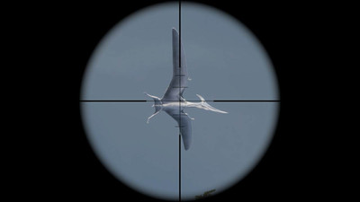 третий скриншот из Prehistoric Hunt