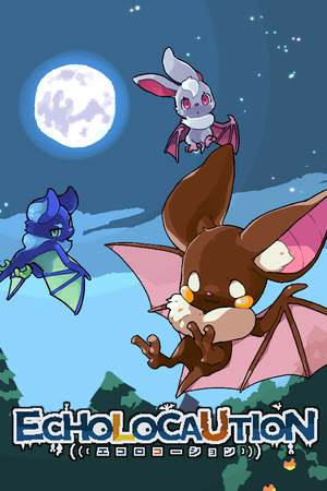 ECHOLOCAUTION ECHOLOCAUTION