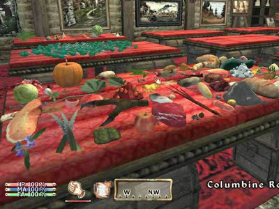 четвертый скриншот из Моды для The Elder Scrolls 4: Oblivion