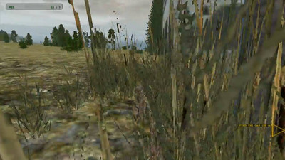 третий скриншот из Совмещеный мод ECP+Graa на Operation Flashpoint