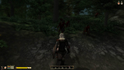 первый скриншот из FCOM Setup (Oblivion)