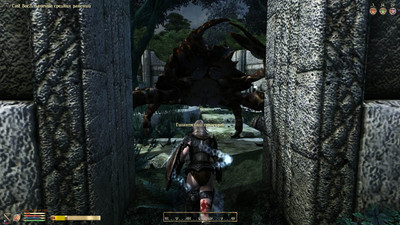 второй скриншот из FCOM Setup (Oblivion)