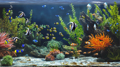 второй скриншот из Zen Aquarium