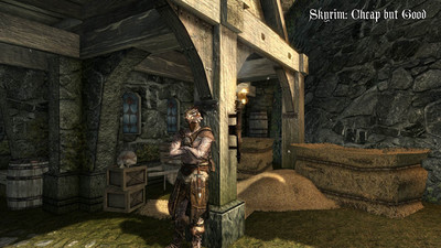 третий скриншот из Skyrim: Cheap but Good + High Resolution Texture Pack