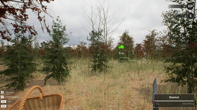 второй скриншот из Mushroom Hunter World