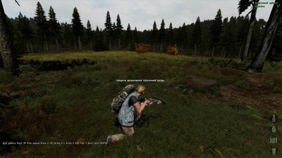 первый скриншот из Mods DayZ SinglePlayer Plus