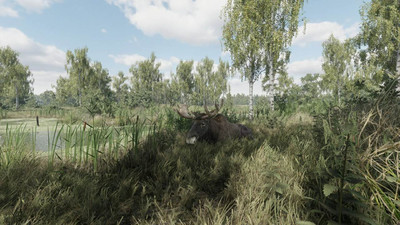 первый скриншот из On the Hunt