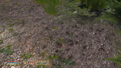 четвертый скриншот из Сборник модов для Oblivion "Золотое издание"