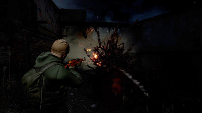 первый скриншот из The Last Zone