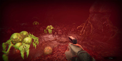 второй скриншот из Morphos