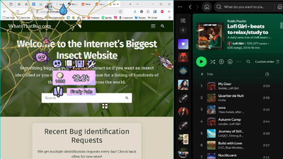 четвертый скриншот из My Little Spider