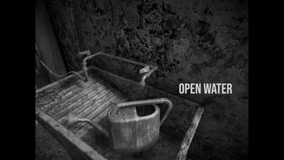 первый скриншот из Horses