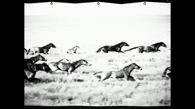 четвертый скриншот из Horses