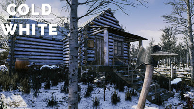 второй скриншот из The Cold White