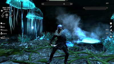 четвертый скриншот из Mods Skyrim Association The Elder Scrolls V Skyrim