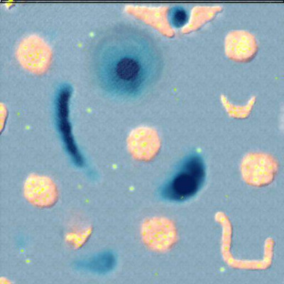 третий скриншот из Mods 1573 карты для Supreme Commander - Forged Alliance