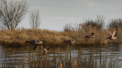 третий скриншот из BULT: Hunting simulator