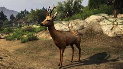 первый скриншот из Mods The Witcher 3 HD Animals Reworked