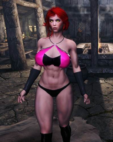 Mods Сборка модов MiMiC 2.5 Redone Skyrim Legendary Edition