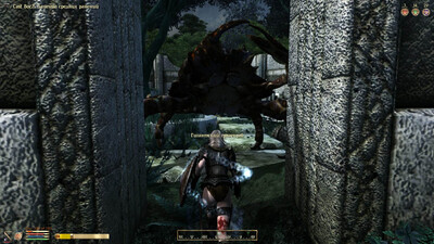 второй скриншот из FCOM Setup Oblivion