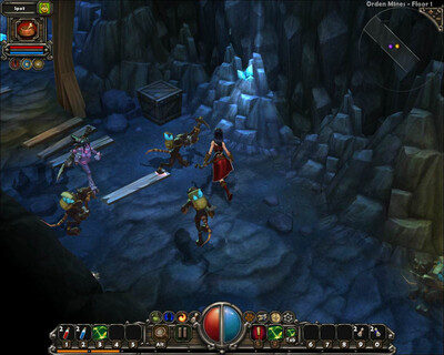 третий скриншот из Torchlight NewPets