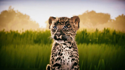 первый скриншот из Seclusa