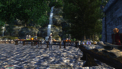 четвертый скриншот из Oblivion Association 2013 TES4: Oblivion