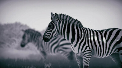 второй скриншот из Seclusa