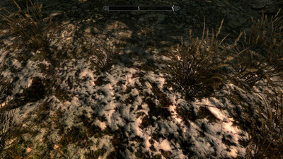 первый скриншот из Skyrim: Cheap but Good (Special Edition)