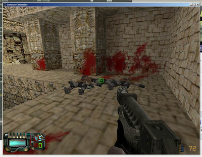 второй скриншот из Gunman Chronicles Half-life