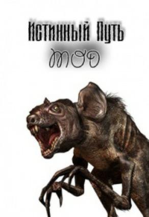 S.T.A.L.K.E.R - мод "Истинный путь"
