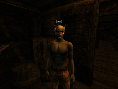 первый скриншот из Goty Extreme Graphics The Elder Scrolls III Morrowind