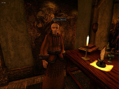 четвертый скриншот из Goty Extreme Graphics The Elder Scrolls III Morrowind