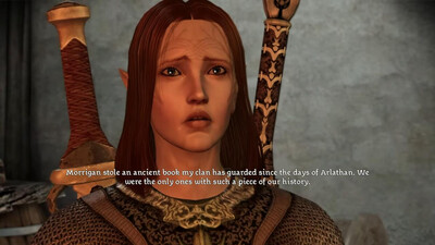 второй скриншот из Dragon Age Origins: The Witch Hunt