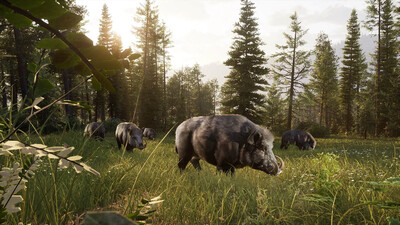 четвертый скриншот из Way of the Hunter 2