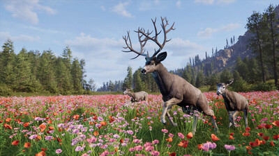 первый скриншот из Way of the Hunter 2