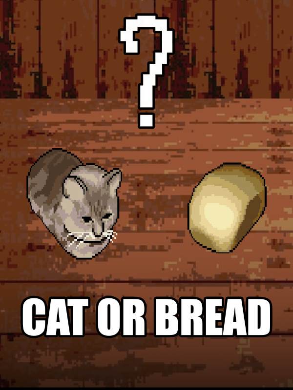 Cat or Bread