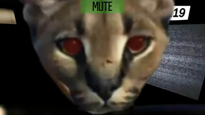 третий скриншот из Five Nights At Floppa