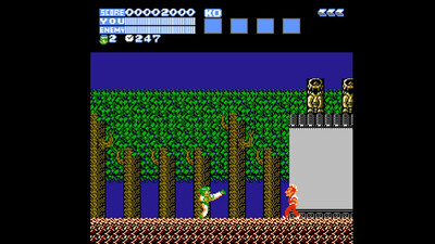 первый скриншот из Hiryu no Ken Collection