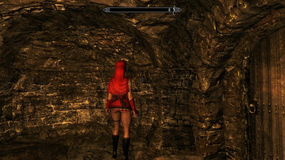 первый скриншот из Skyrim SexMods ZiGFriD's Edition 18+