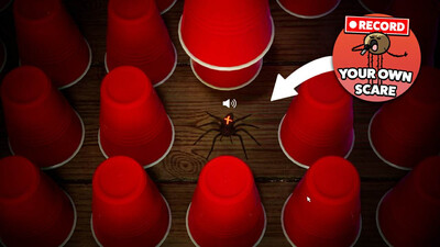 четвертый скриншот из Spider Roulette