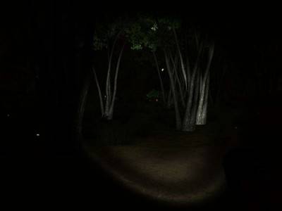четвертый скриншот из Slender City 3D