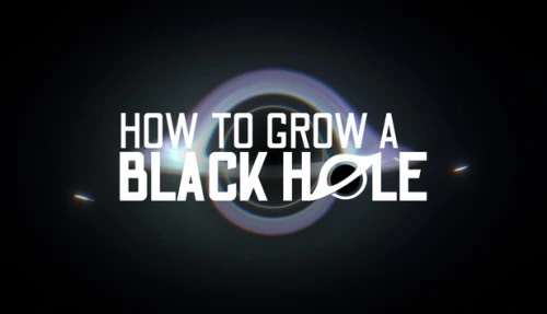 How To Grow a Black Hole