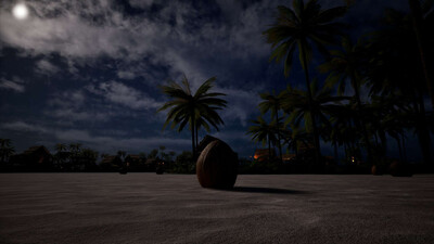 третий скриншот из Coconut Simulator 2