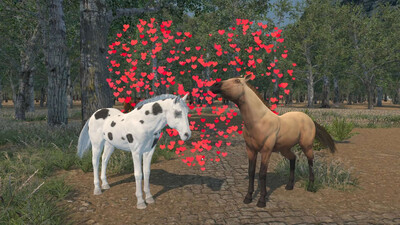 третий скриншот из Medieval Horse Dealer Simulator