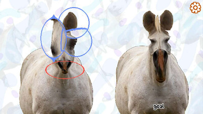 второй скриншот из Horse Magnifier: The Full Horse