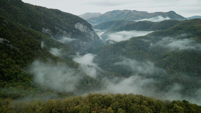 второй скриншот из Wordless Forest